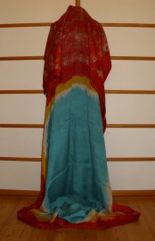 sari-4678