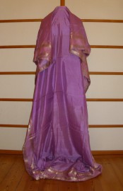sari-4691