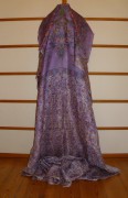 sari-4743