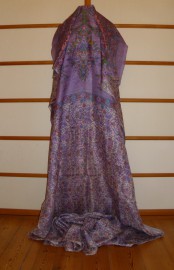 sari-4743