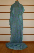 sari-4753