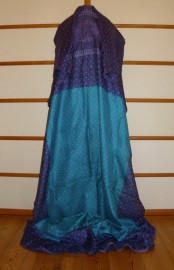 sari-4763