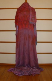 sari-4767