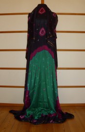 sari-4779