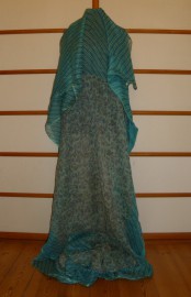 sari-4785