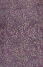 sari-4787-1