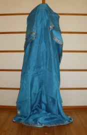 sari-4794