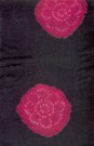 sari-4875-1