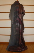 sari-4880