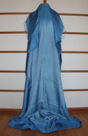 sari-4798