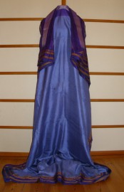 sari-4809