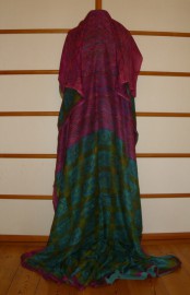 sari-4820