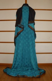 sari-4840