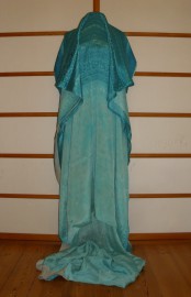 sari-4887