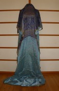 sari-4890