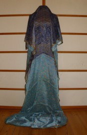 sari-4890