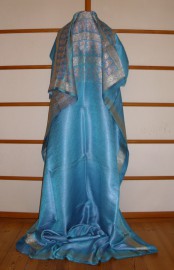 sari-4894